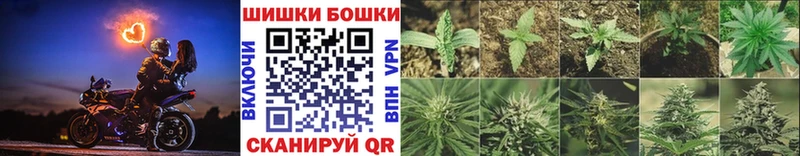 купить наркотик  Ардон  Каннабис семена 